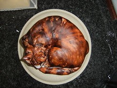 CatCake14
