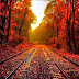 Wallpaper Cave Autumn Scene : Hd Autumn Scene Wallpapers Peakpx : High quality autumn scene wallpaper.