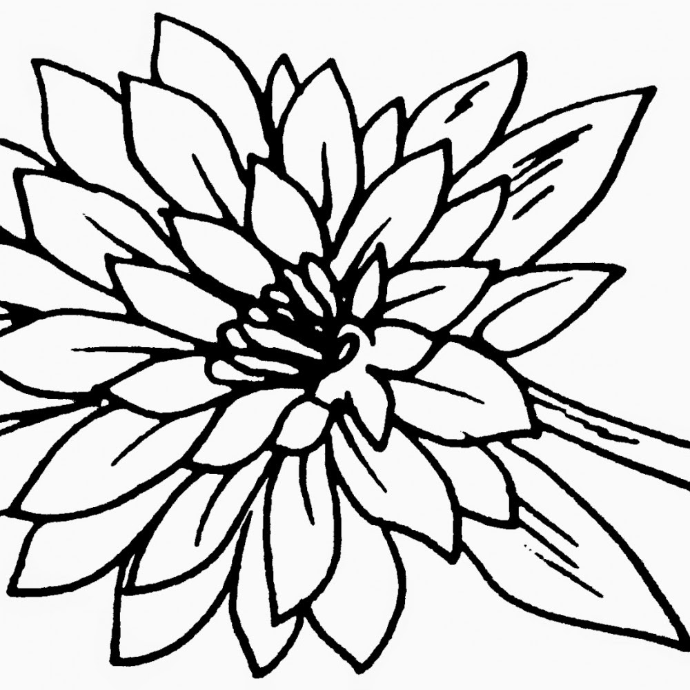 Gambar Daun Hitam Putih - ClipArt Best