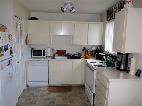 painting  apartment kitchen   brynna