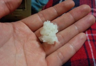 ドジョウの飼育 方法 3ページ