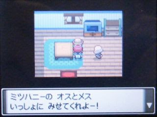 相性チェッカーと教え技 にゃんぽけx 旧