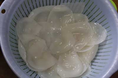 小イカの刺身 三河湾徘徊記