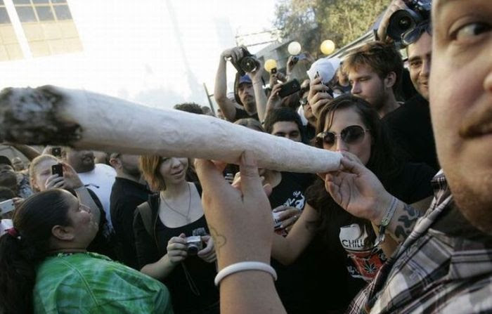 2010 SF Medical Cannabis Competition (50 pics)