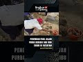 Fosil Gajah Purba Berusia 500 Ribu Tahun Ditemukan di Patiayam Kudus