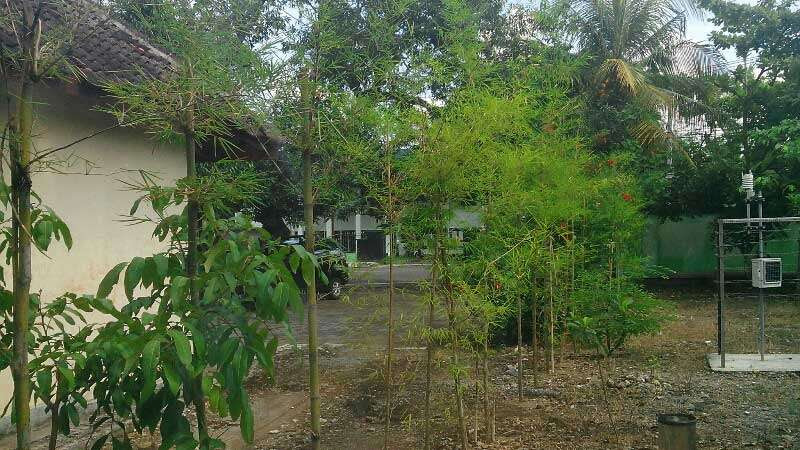 Dishutbun Galakkan Pemuliaan Tanaman Bambu  KH