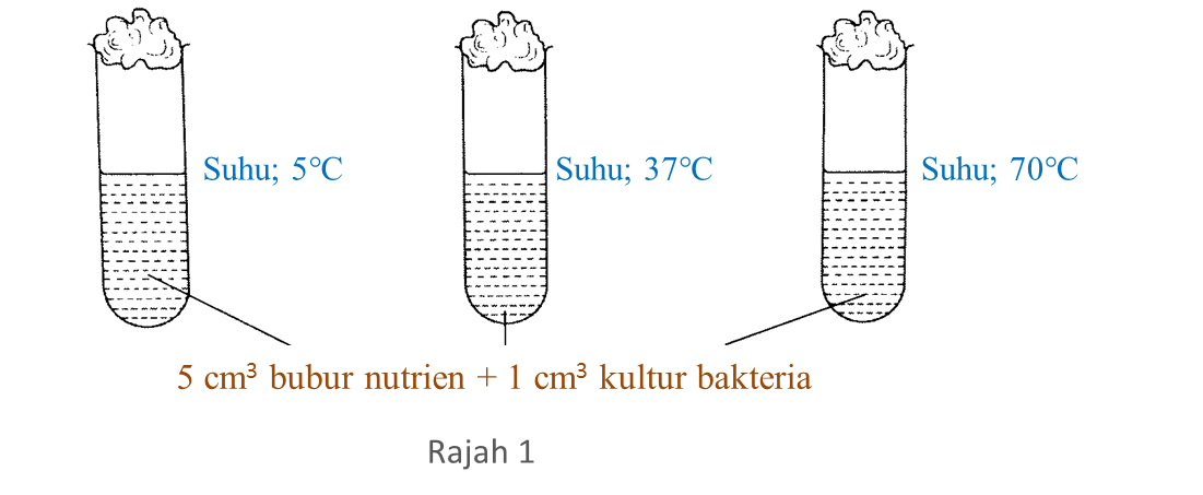 (Tingkatan 5) 1.9.2 Faktor-faktor yang Mempengaruhi 