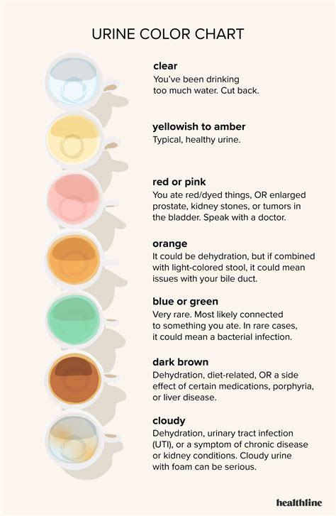  urine color chart whats normal and when to see a doctor nurse study
