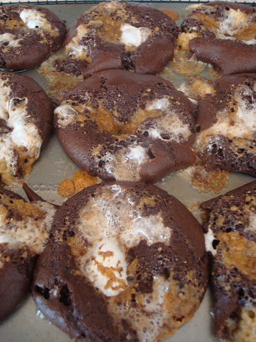 Trying Bakerella's Smores Cupcakes