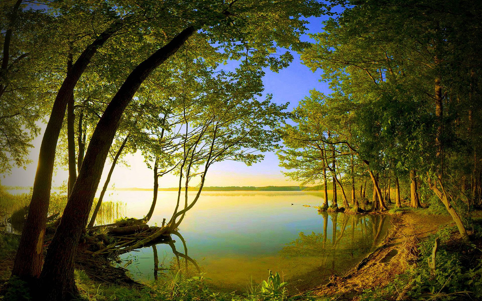 Wallpapers In Nature Wallpaper Cave Wallpapers In Nature Wallpaper Cave