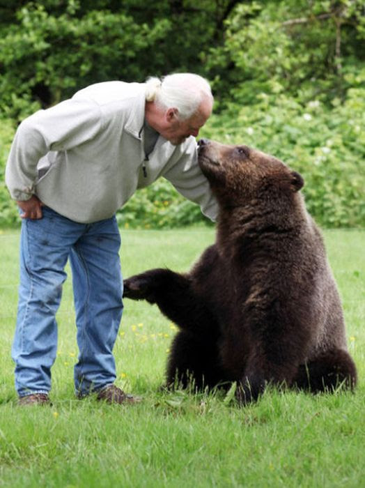 Pet Grizzly Bear (19 pics)