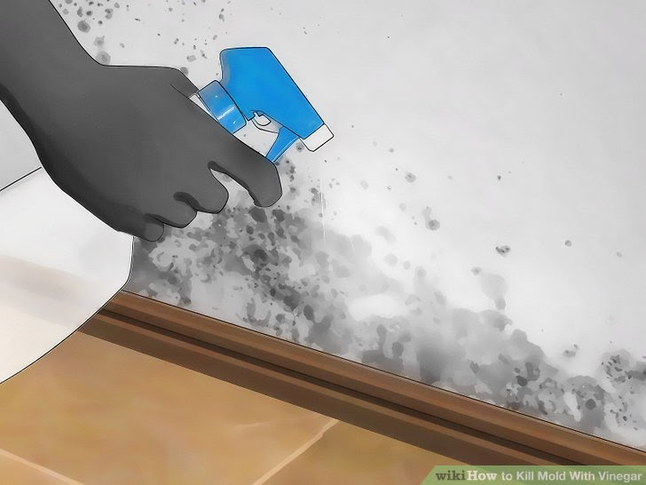 Kill Mold With Vinegar Step 4.jpg
