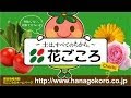 いろいろ プランター 土作り 花 114781-プランター 土作り 花