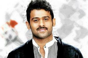  Mr Perfect 1st Day Collections, Mr Perfect  first day Collections, Mr Perfect Day 1 Collections, Mr Perfect 1 Day Collections andhra, Mr Perfect first day Collections ap, Mr Perfect 1st Day Collections andhra pradesh