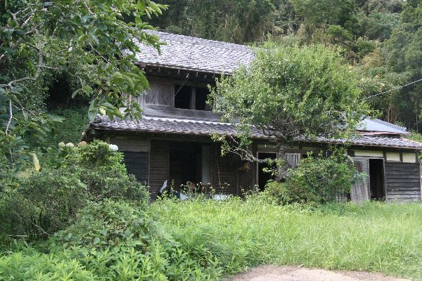夏草茂る古民家の庭をなんとかせんと 注文の多い古民家 千葉の上総の古民家再生記