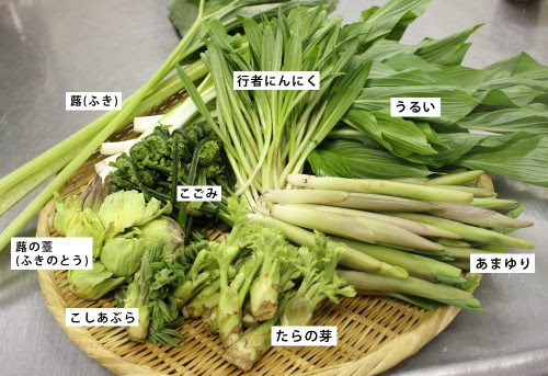 経営者の為の健康相談室