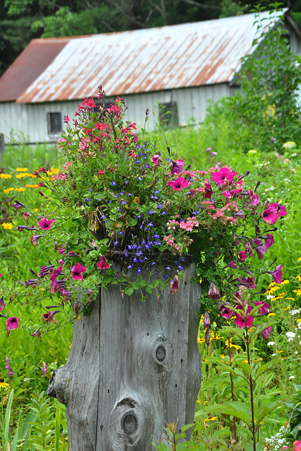 25 Small Backyard Ideas - Beautiful Landscaping Designs ...