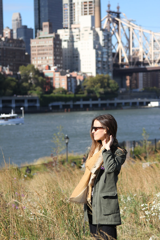 roosevelt island