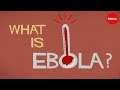 What we know (and don't know) about Ebola - TED-Ed video