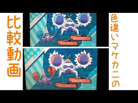 マケンカニ 色違いと通常色の比較 ポケモンブログ