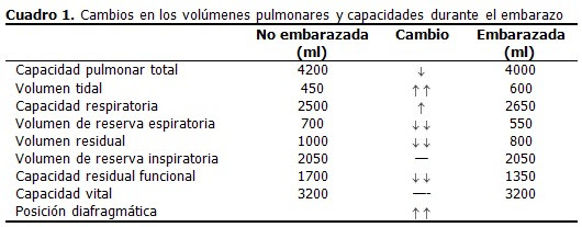 Cambios Fisiologicos Durante El Embarazo Su Importancia Para El Anestesiologo