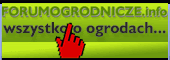 Porady ogrodnicze. Forum działkowe.