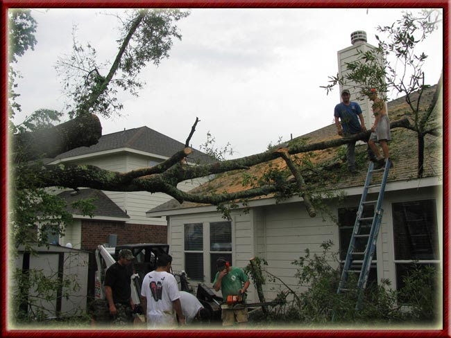 Hurricane Damage Cleanup Or Preparation