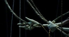 La femme papillon