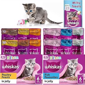 The Best Kitten Food Wet Bulk In 2023