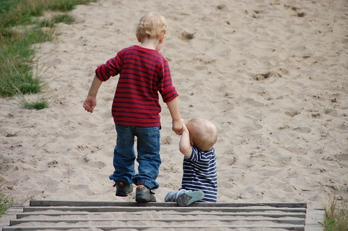 meer 1