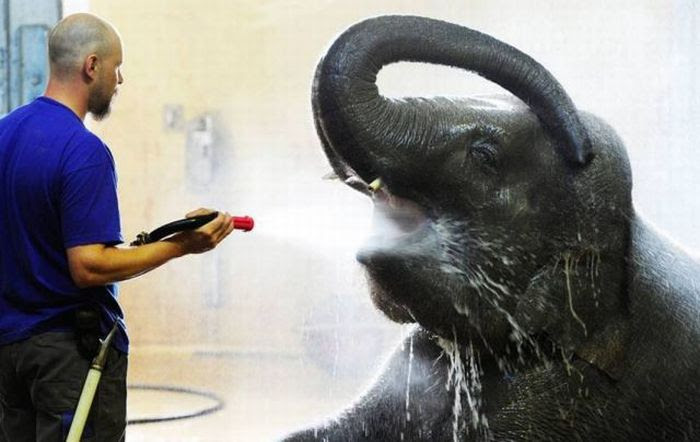 Extremely Hot Summer Around the World (77 pics)
