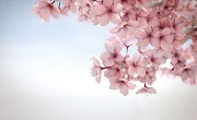 Ide 35+ Wallpaper Bunga
