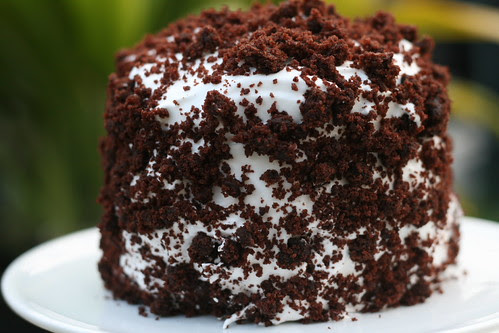 Devils Food White Out Cake (Dorie Greenspan)