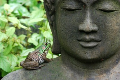 (via A Way To Garden) Photo by Margaret Roach