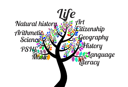 Experiencia música didáctica