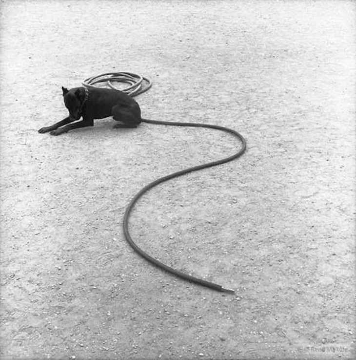 fotografia de ran maltet
