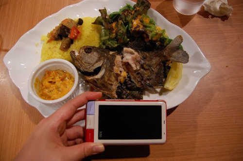 Makan Ikan Piranha