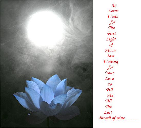 My Love I Am Waiting For You Free Cute Love Ecards Greeting Cards 123 Greetings