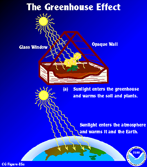  The Greenhouse Effect This unit is about the Greenhouse Effect  greenhouse lesson plans