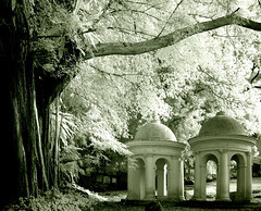 the cupolas 2