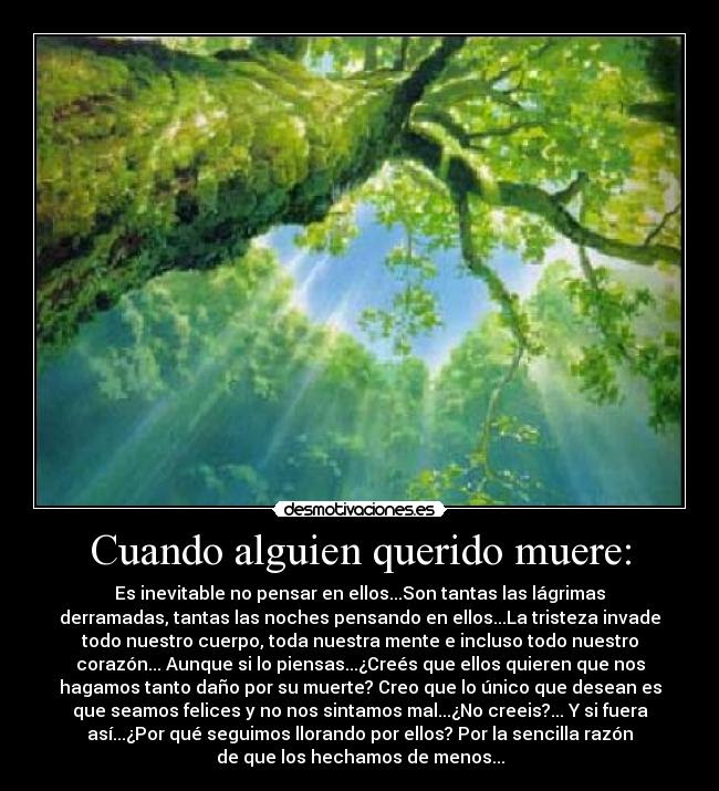 Cuando alguien muere Imagui
