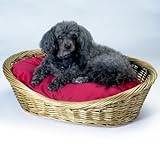 Snoozer Medium Wicker Basket Pet Bed with Red Pillow