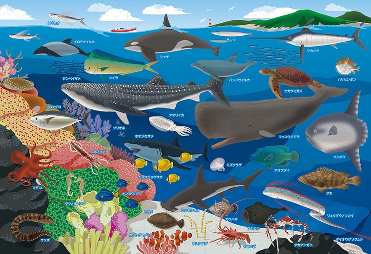 Bev 80 029 子供用パズル 海の生き物おぼえちゃおう 80ピース ビバリー の商品詳細ページです 日本最大級のジグソーパズル通販専門店 ジグソークラブ