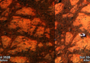A destra l’immagine della roccia apparsa nella foto del rover Opportunity, a sinistra lo stesso panorama inquadrato qualche giorno prima (fonte: NASA)