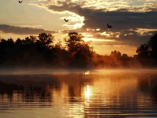 animated nature photo: Animated nature a9bf72b4e398.gif