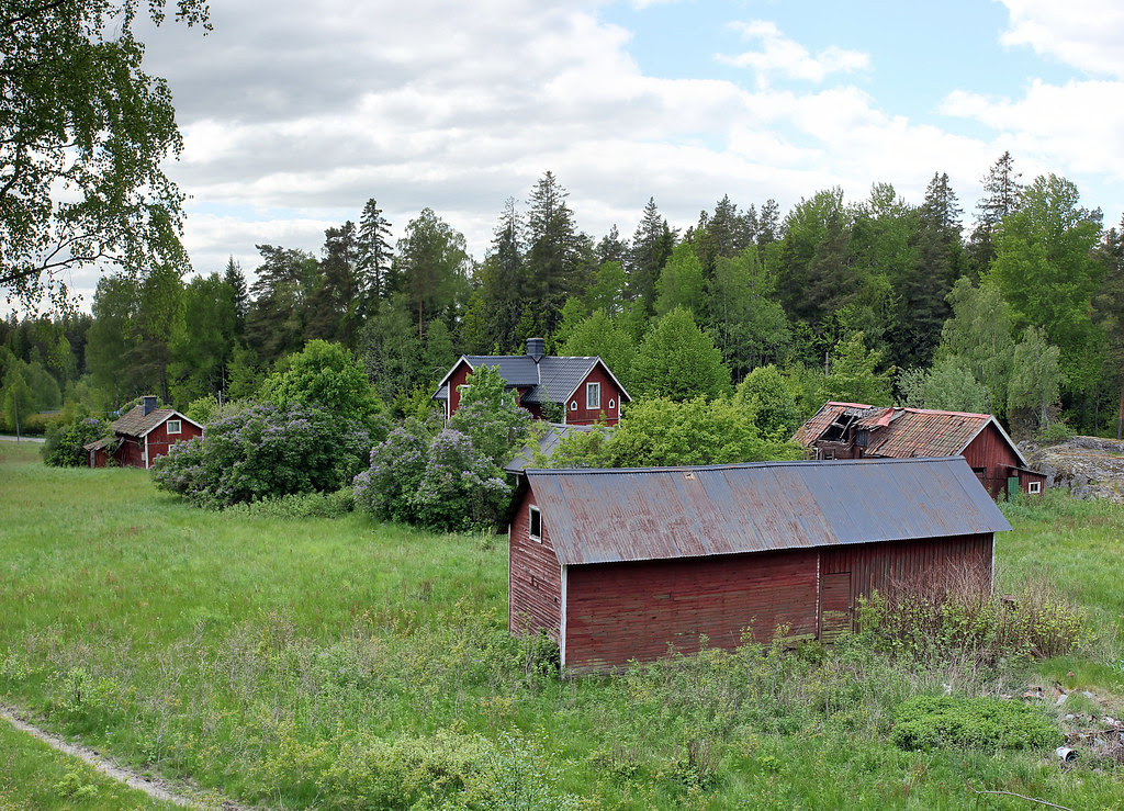 View From a Hill