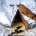 torta alla liquirizia