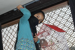 Marziyas New Bird Cage Of Finches by firoze shakir photographerno1