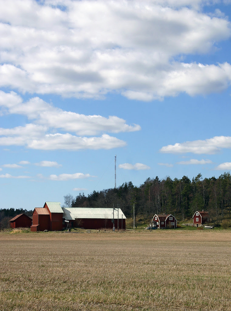 Ormsta