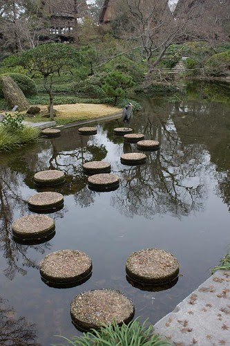 Stepping Stones Heron